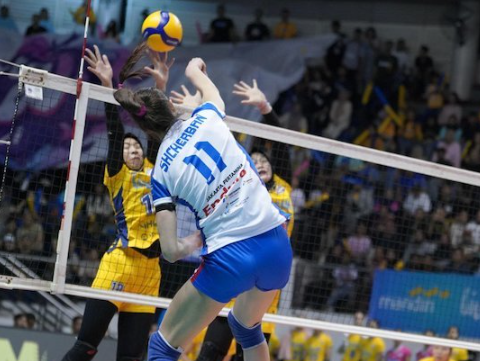 kunci-voli-menang-duel-net-dengan-timing-sempurna